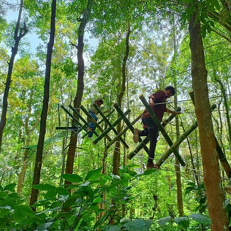 Adrak Mountain Mist Forest Resort Pulpally Ngoại thất bức ảnh