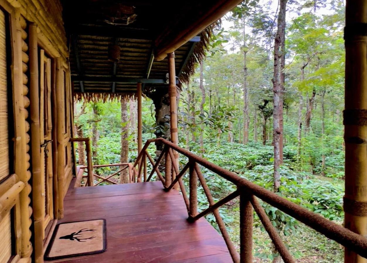 Adrak Mountain Mist Forest Resort Pulpally Ngoại thất bức ảnh