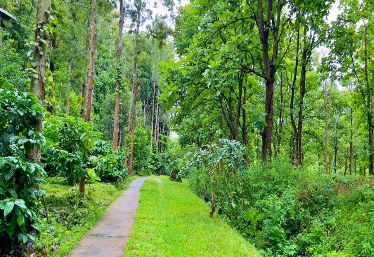 Adrak Mountain Mist Forest Resort Pulpally Ngoại thất bức ảnh
