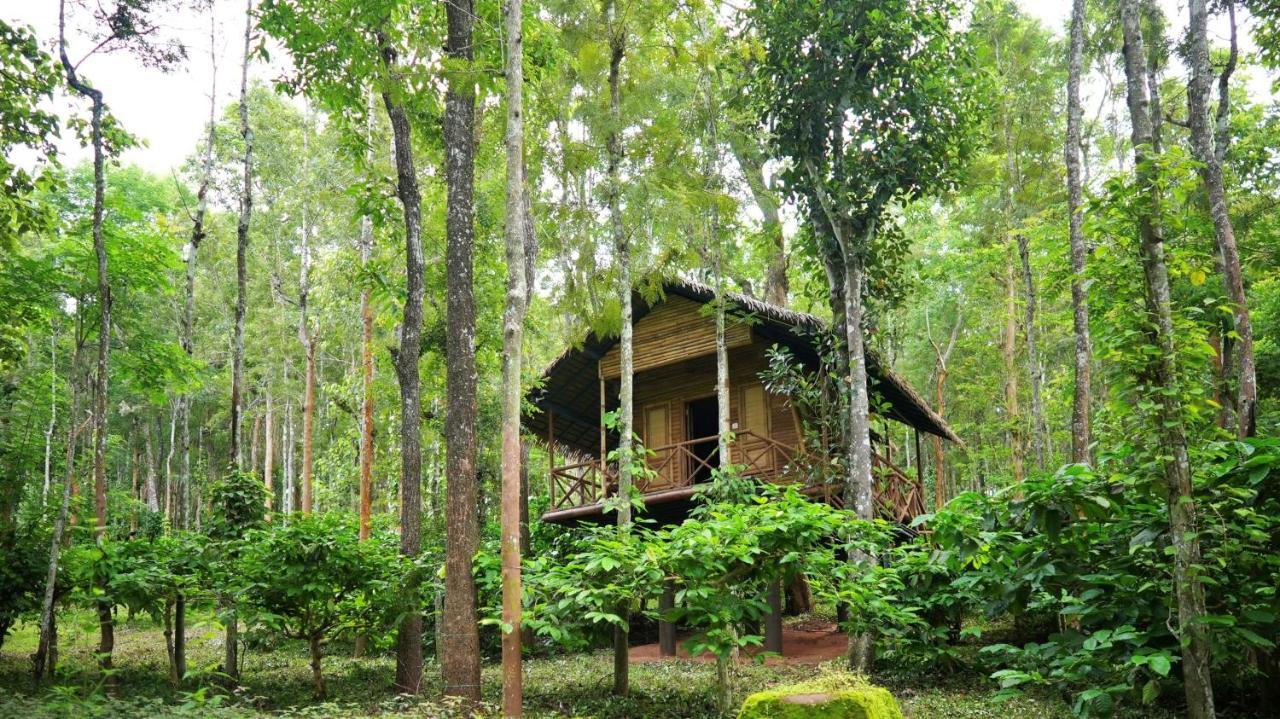 Adrak Mountain Mist Forest Resort Pulpally Ngoại thất bức ảnh