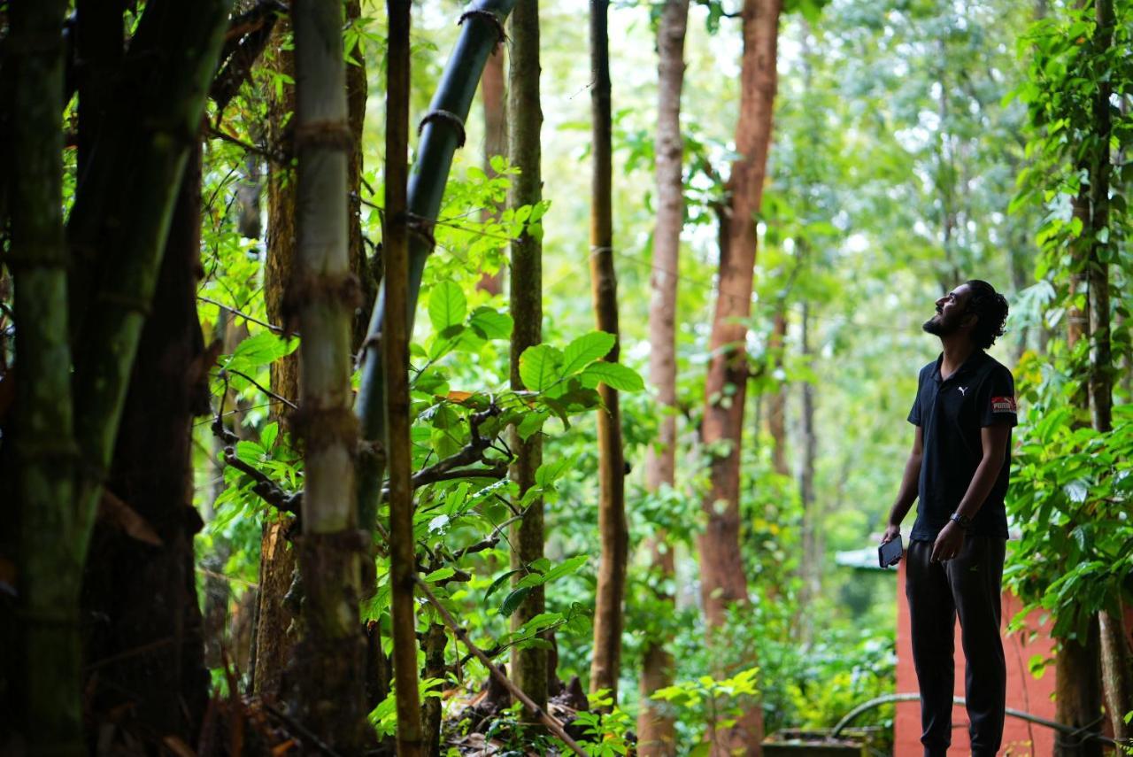 Adrak Mountain Mist Forest Resort Pulpally Ngoại thất bức ảnh