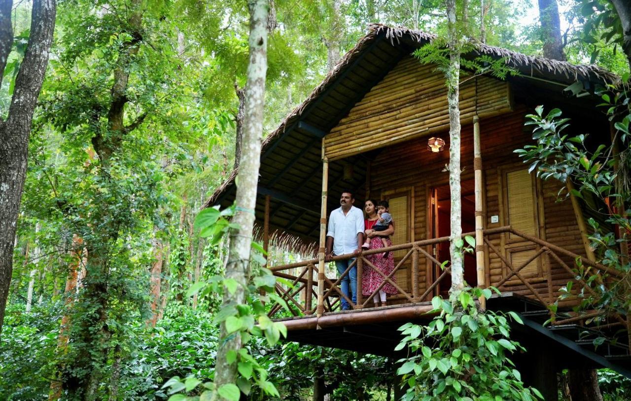 Adrak Mountain Mist Forest Resort Pulpally Ngoại thất bức ảnh