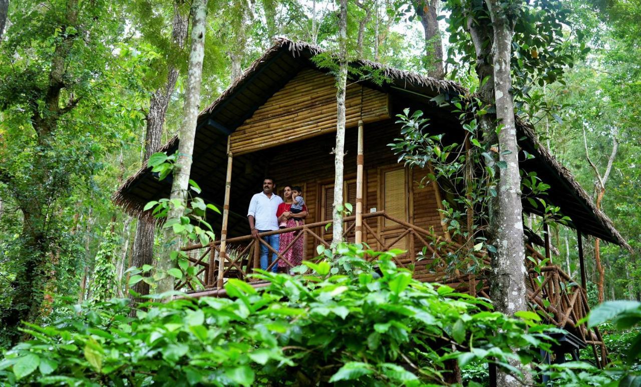 Adrak Mountain Mist Forest Resort Pulpally Ngoại thất bức ảnh