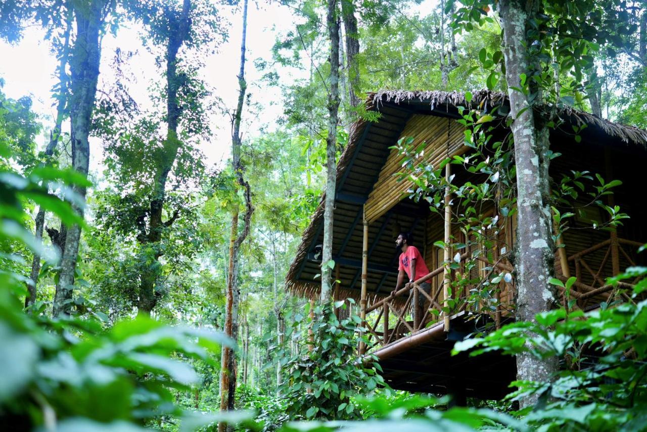 Adrak Mountain Mist Forest Resort Pulpally Ngoại thất bức ảnh