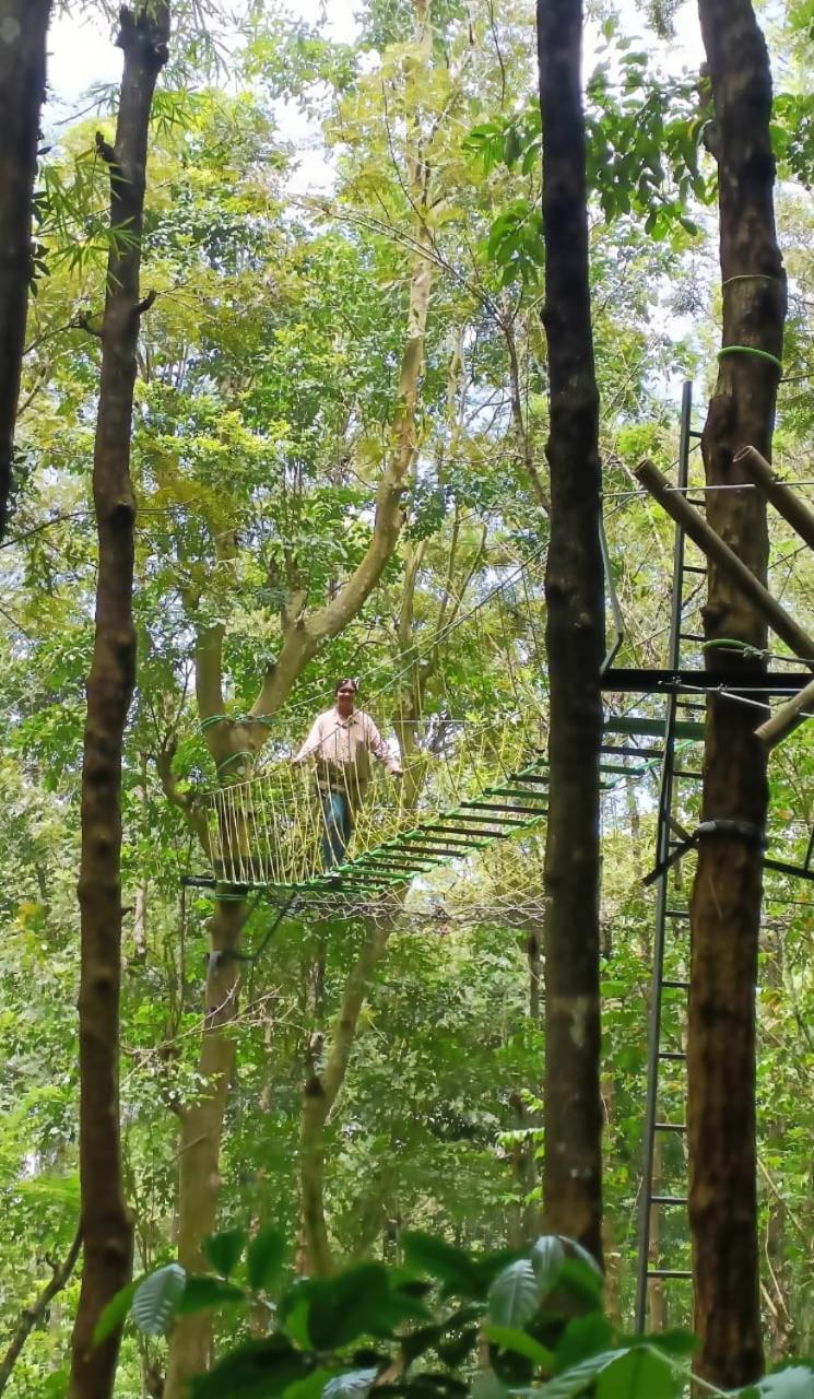Adrak Mountain Mist Forest Resort Pulpally Ngoại thất bức ảnh
