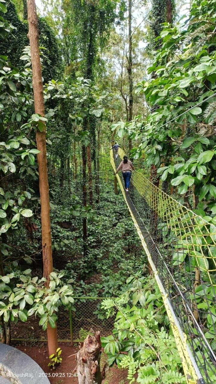 Adrak Mountain Mist Forest Resort Pulpally Ngoại thất bức ảnh