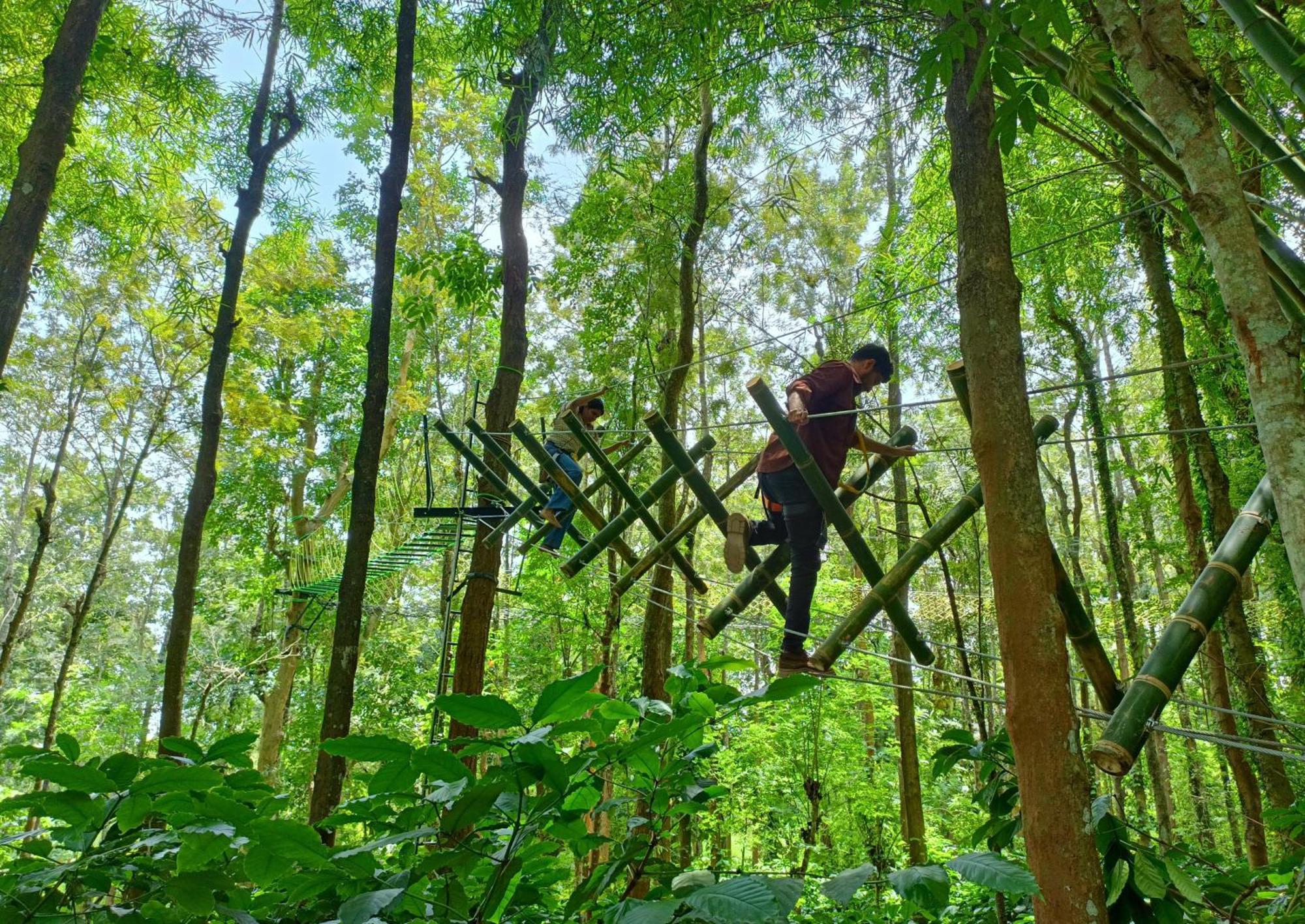Adrak Mountain Mist Forest Resort Pulpally Ngoại thất bức ảnh